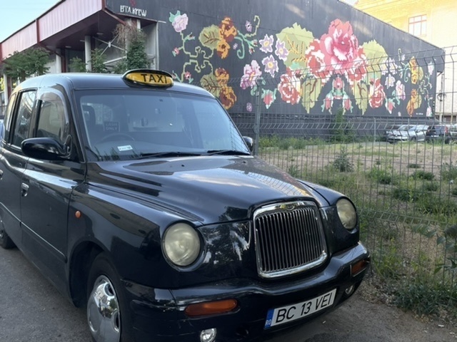 Car and mural