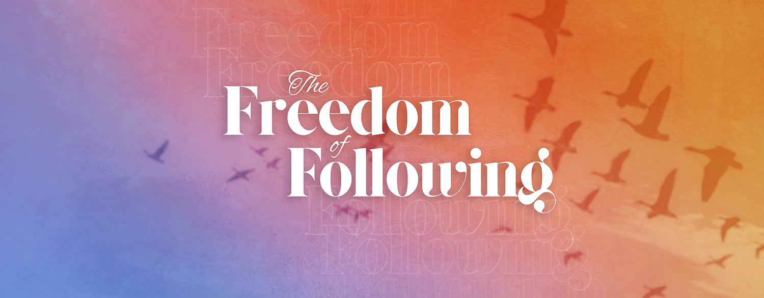 Header Image for The Freedom of Following - Part Two This Sunday