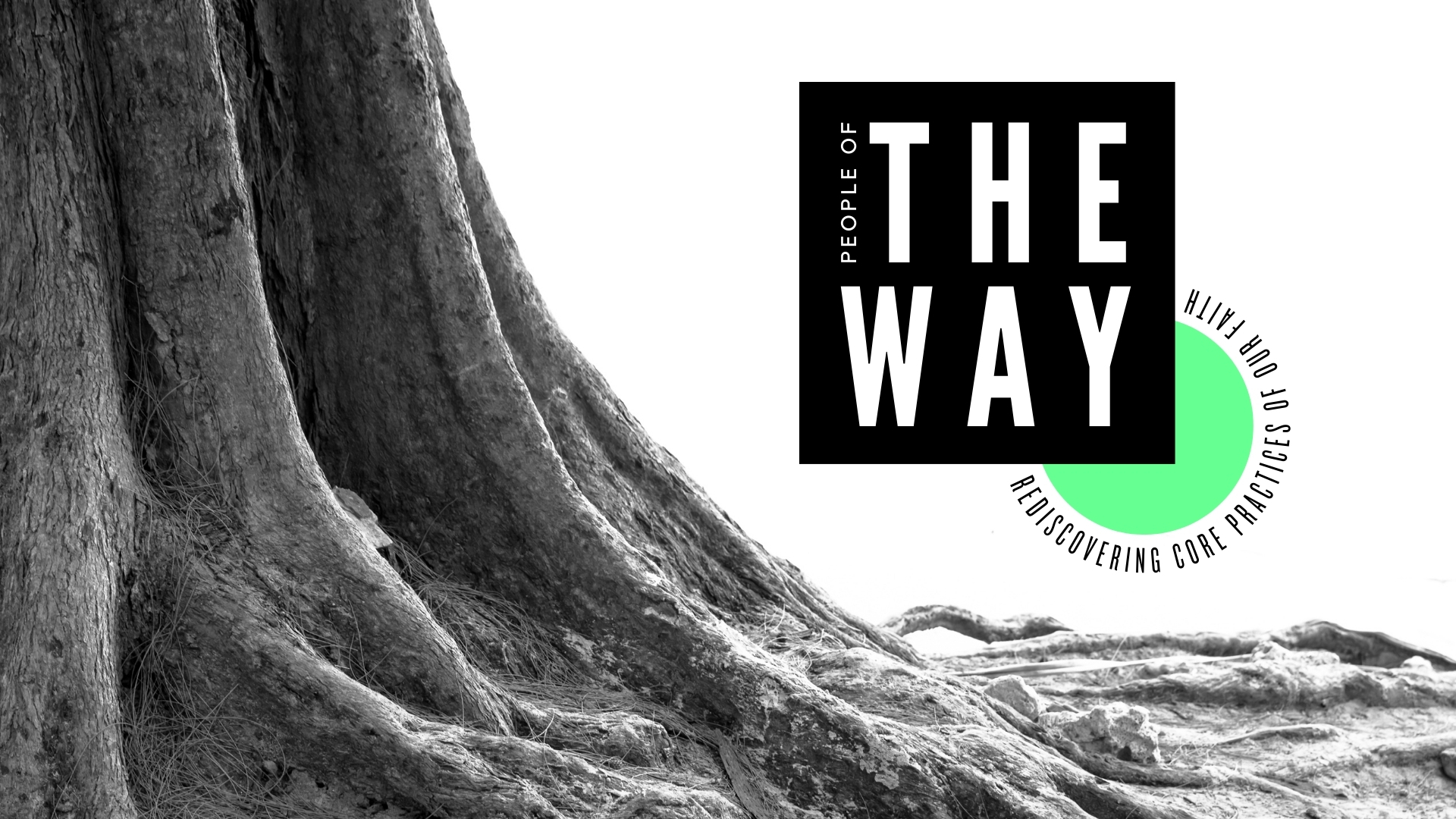 The Way