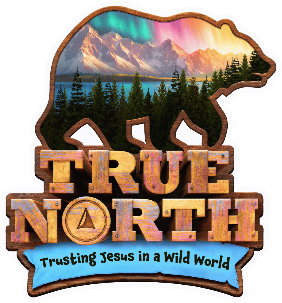 True North Logo