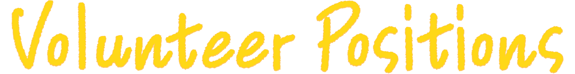 Volunteer Positions